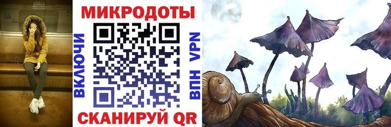 цены   Боровск  MEGA ТОР  Псилоцибиновые грибы Cubensis 